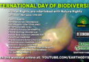 Webinar 12: International Day of Biodiversity